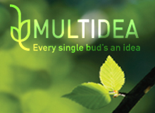 MULTIDEA